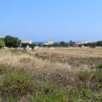 carisciola terreno