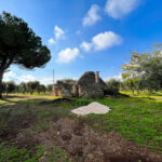 trullo con alberi