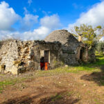costruzione palagogna