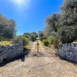 cancello
