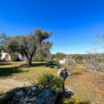 vista trullo